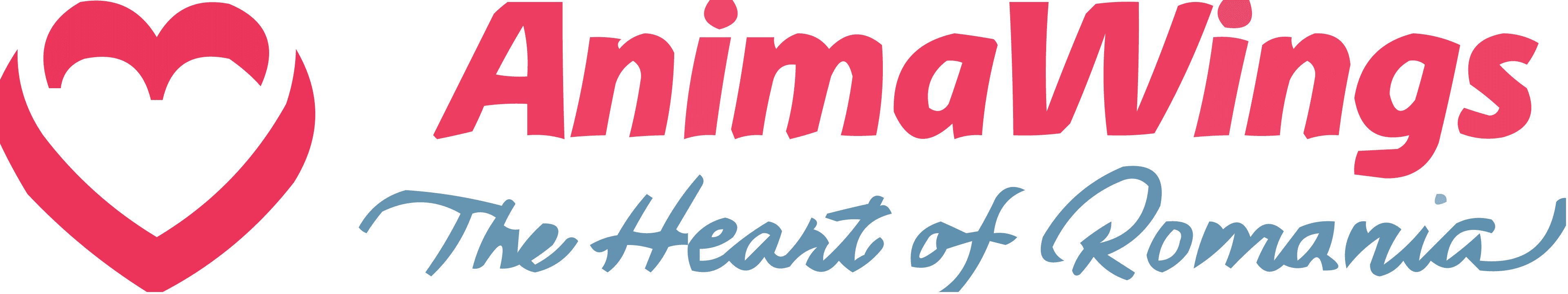 Animawings